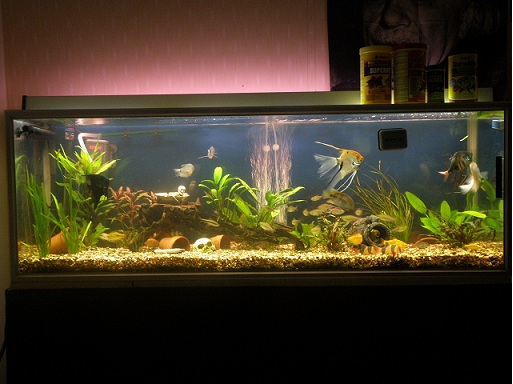 pienennetty aquawebiin.JPG