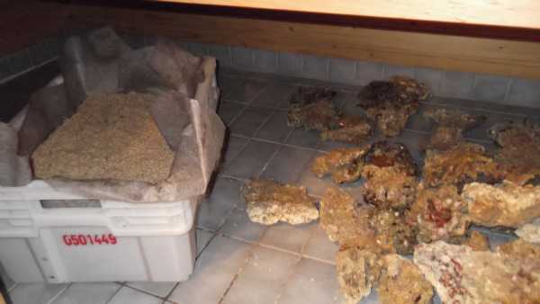 noin 28 litraa (50kg) hiekkaa ja 35kg kiveä kuivamassa.