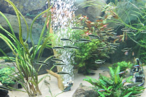IMG_0397 (Custom).JPG