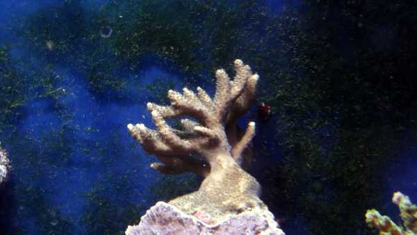 Kaipaa tunnistusta...