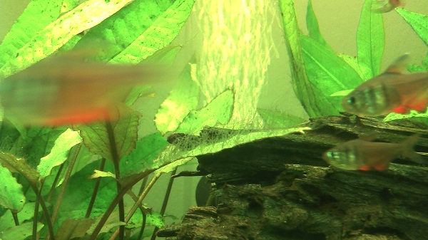 2011-11-30_18-24-02_458.jpg