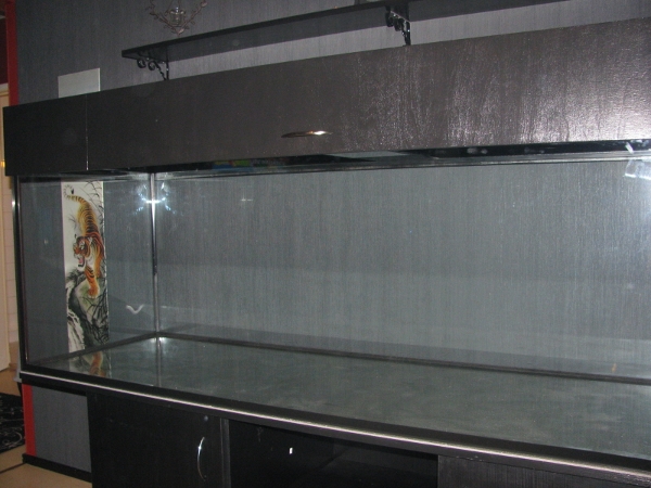 008 (600x450).jpg
