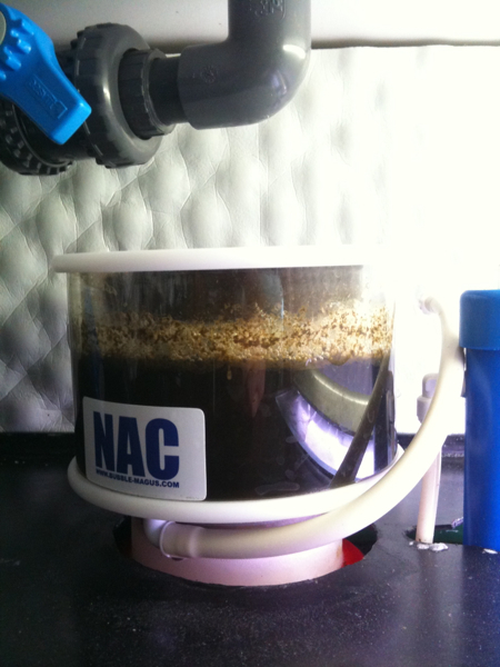 NAC-7