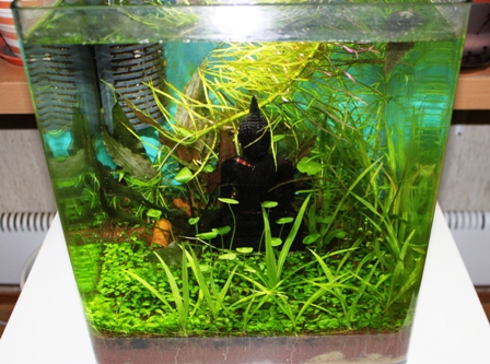 35L.JPG
