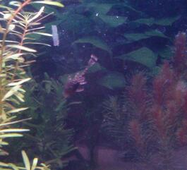 IMG_20111223_110257-1.jpg