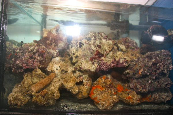 FTS korvausvesiosaston läpi