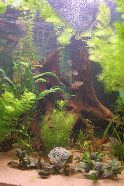 360l