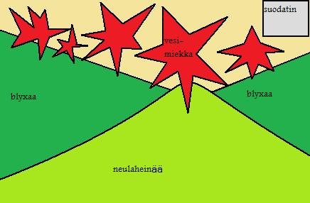 kasvit.jpg