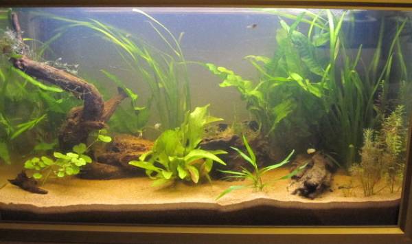 100L palloja :)