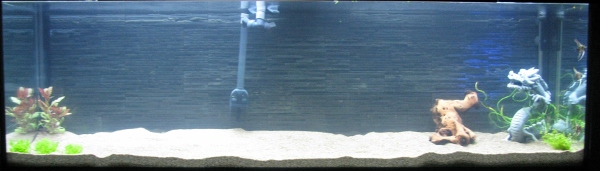 030 (600x171).jpg