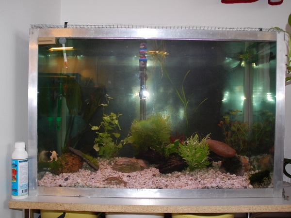 SSC_0041 (2).JPG