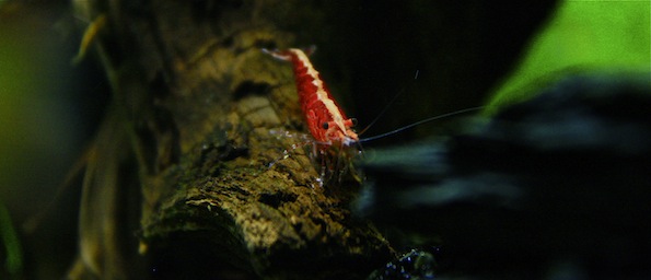 _MG_9633.JPG