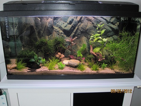 100l