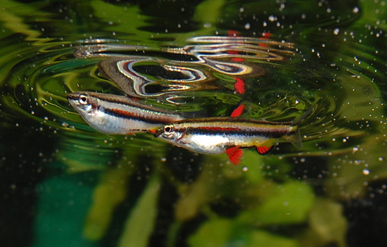 DSC_3747.jpg