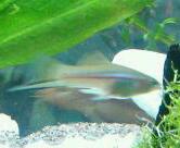 IMG_20120420_163503-1-1.jpg