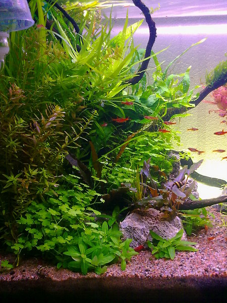 130620121153.jpg