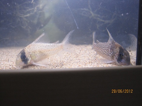 IMG_5633.jpg