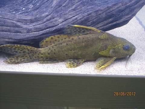 IMG_5680.jpg
