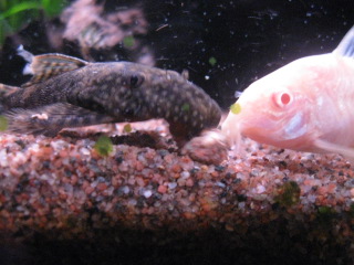 IMG_0014.JPG
