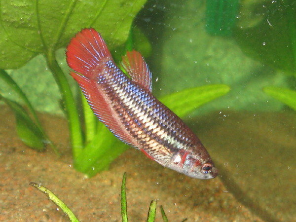 img1973376.jpg