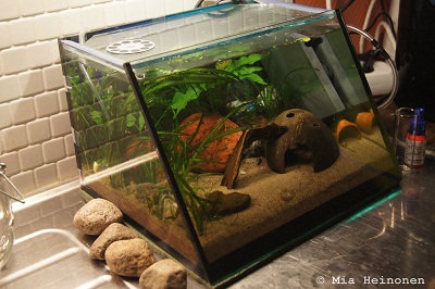 15l.jpg