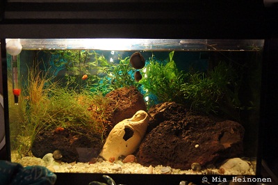 30l.jpg