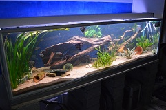 Kokonaiskuvaa altaasta ja pohjalla Weber 0,5-1,2mm hiekka.