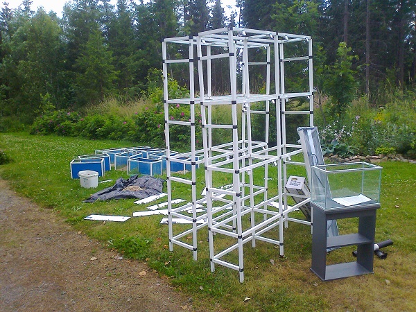 Päivän saalis