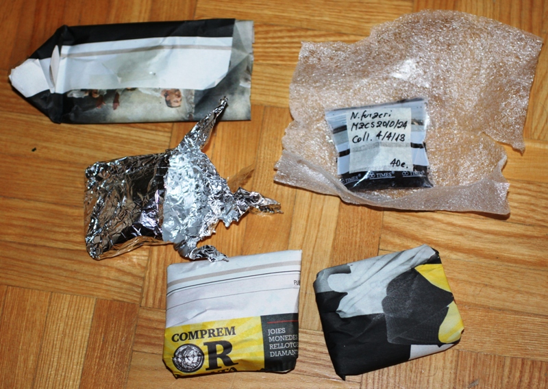 Greetings from the sunny Spain.JPG