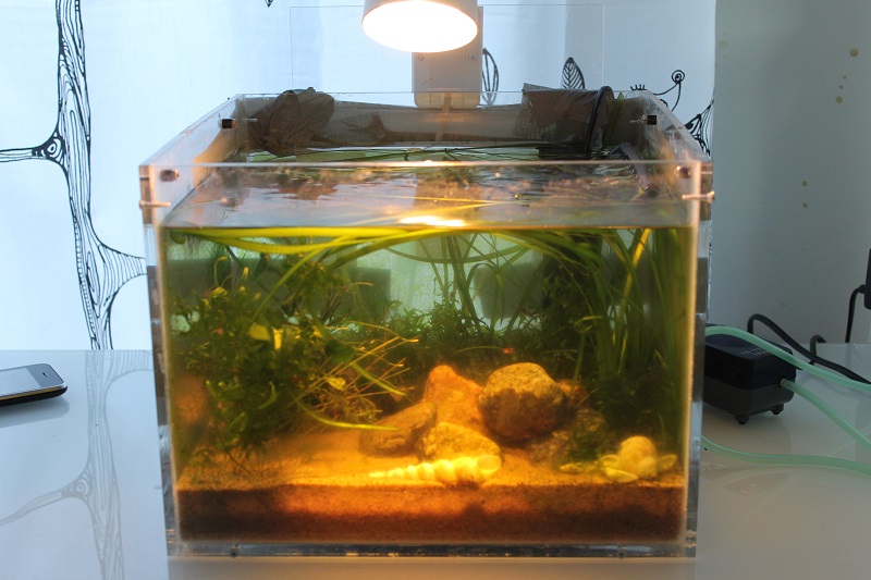 Ei voi ihmetellä, miksi vaimo jaksoi haukkua rumaksi :)