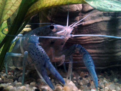 20131003_201541.jpg