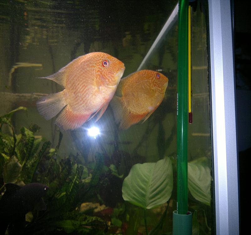 2013-10-11-153.jpg