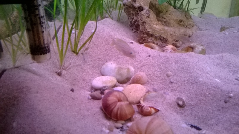 WP_20131019_001 kk.jpg