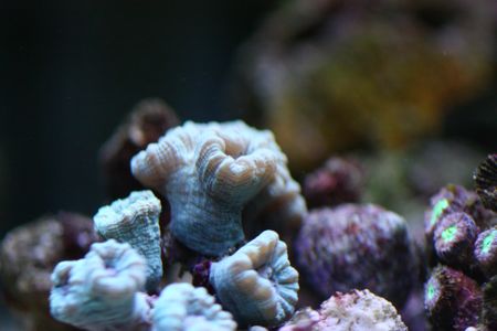 IMG_5387.jpg