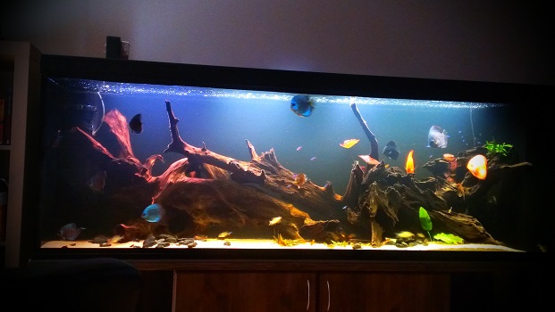 2x 120cm t6 putki