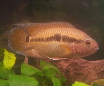 20140320_123754.jpg