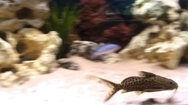 20140402_232724_16317.jpg