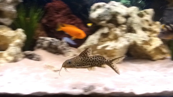 20140402_232724_59720.jpg