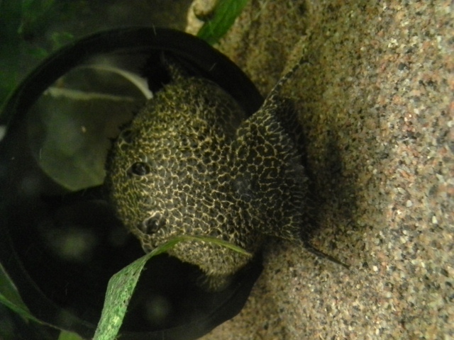 20140315_163422.jpg