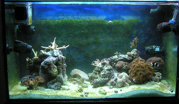 29. ‎syyskuu‎ta ‎2009,