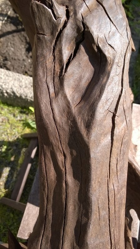 Pron hoidettua homman.jpg