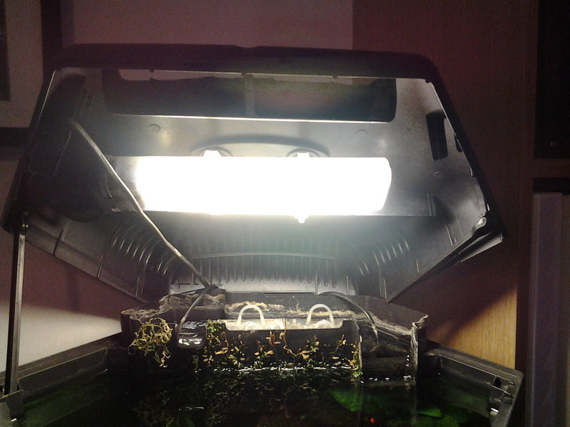 20140822_133356.jpg