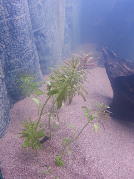 20140831_111422.jpg