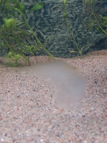 20140903_134746.jpg
