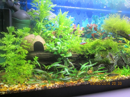 ..Tässäpä vasemman päädyn viherrystä! :)