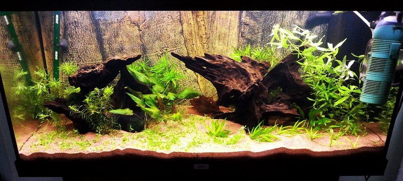 20140918_113914.jpg