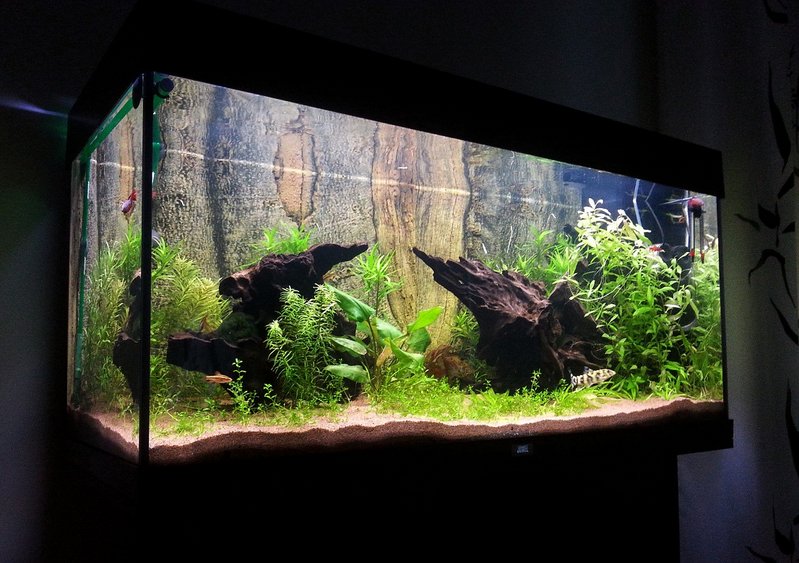 20140927_182132.jpg