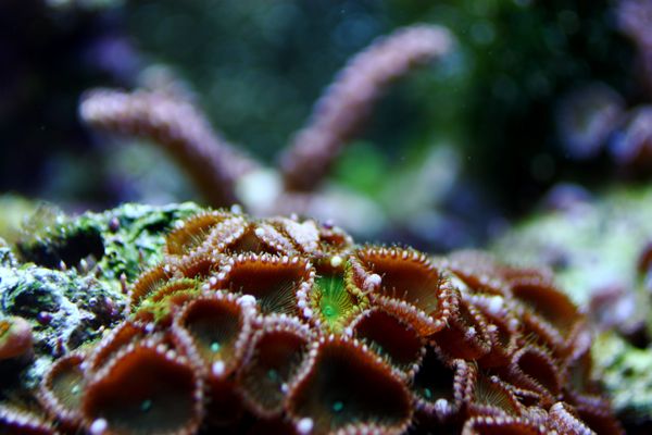 IMG_5853.jpg