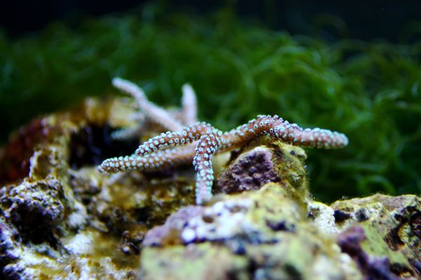 IMG_5720.jpg