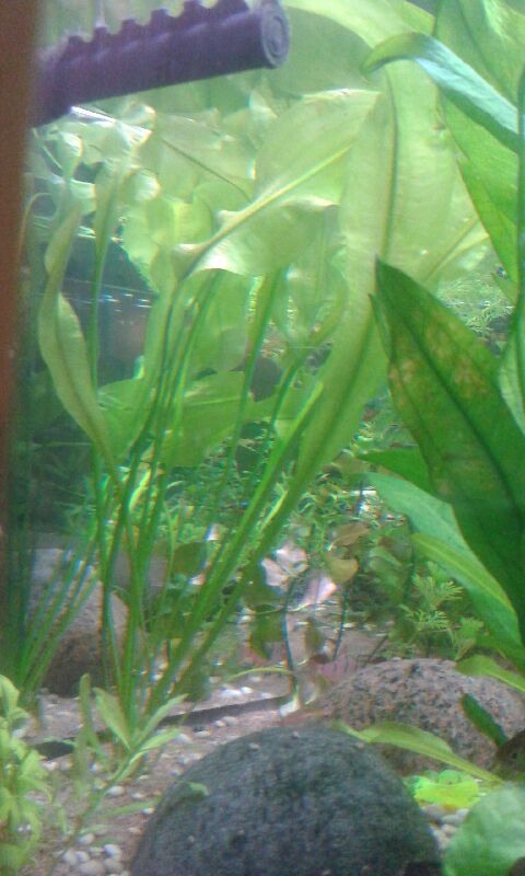 20141029_235857.jpeg